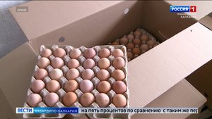 В КБР растет производство продукции животноводства