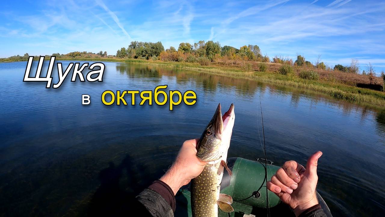 Ловля щуки на мелком озере в октябре. Рыбалка на хищника с лодки