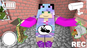 СЛЕЖУ ЗА БЕРЕМЕННОЙ ДЕВУШКОЙ ЧЕРЕЗ КАМЕРУ В МАЙНКРАФТ