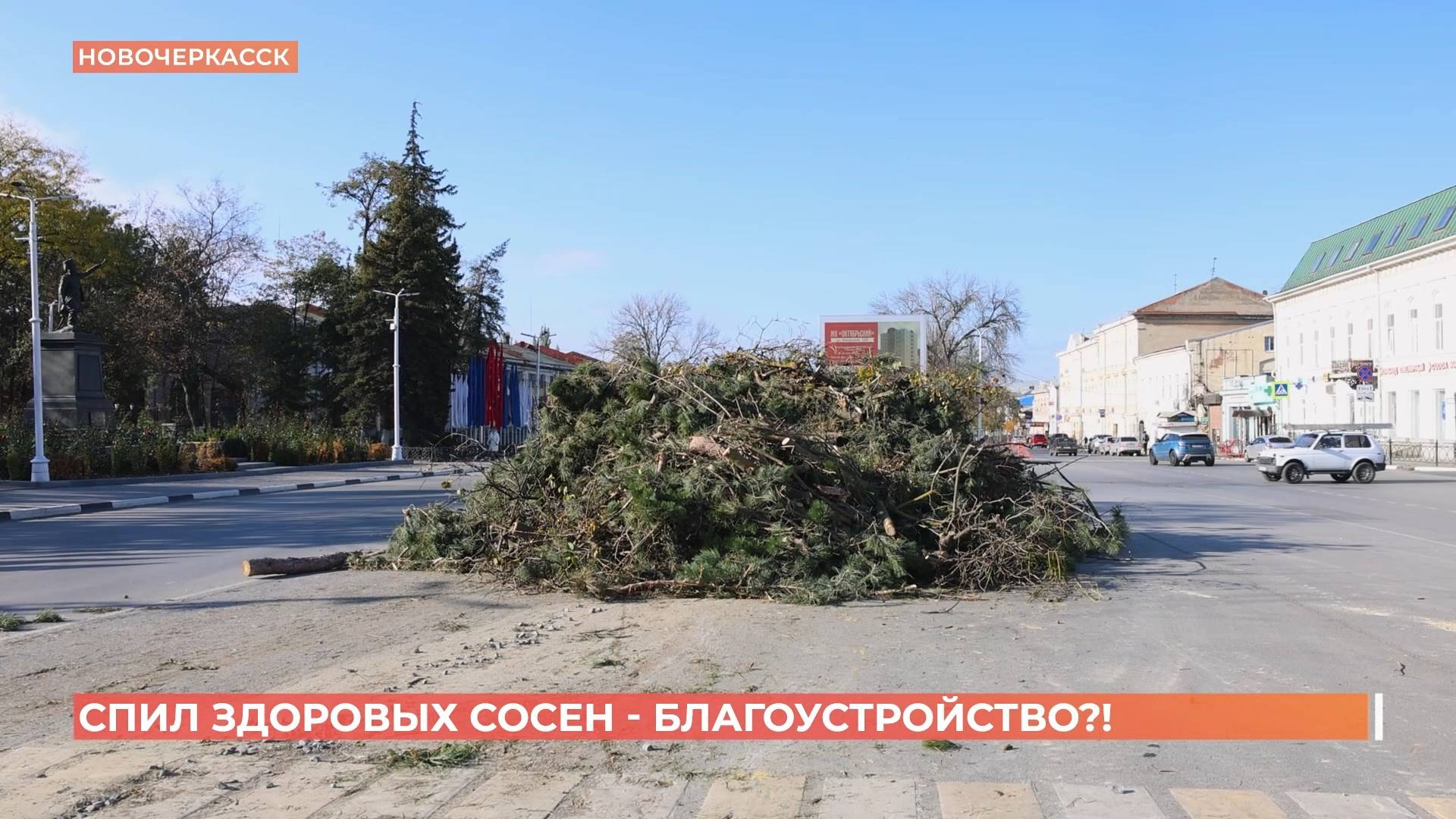 Губернатор приехал в Новочеркасск после жалобы на спил здоровых сосен смотреть онлайн