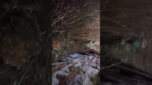 Крысы будут жестоко наказаны!!! 😨😱🧐