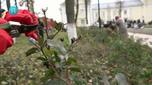 Рузаевские новости. 17 октября 2025