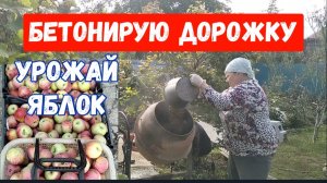 #105🌷Забетонировала дорожку сама/Новый цвет волос/Вяжу шапку/Теплица/Последний урожай яблок