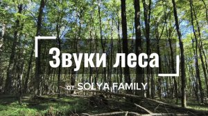 ЗВУКИ ЛЕСА для сна и медитации