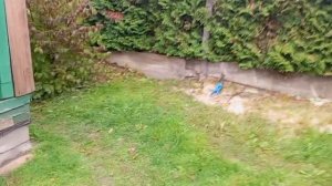 Кучка большая,кучка поменьше.Вроде тоже зарядка.💪☺️