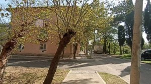 Прогулка по Рустави 09.10.2025 (ул Нестора Гиоргадзе (бывшая ул Молодых специалистов в Интернатах))