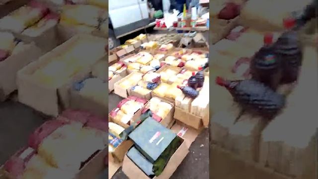 Всем теплый приветик Рынок