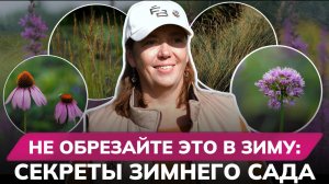 Злаки и сухоцветы: создаём красивый сад на осень и зиму