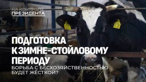Подготовка к зиме в АПК | Жёсткая борьба с бесхозяйственностью. На контроле Президента