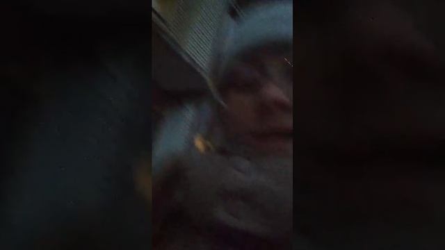 пр смотреть онлайн