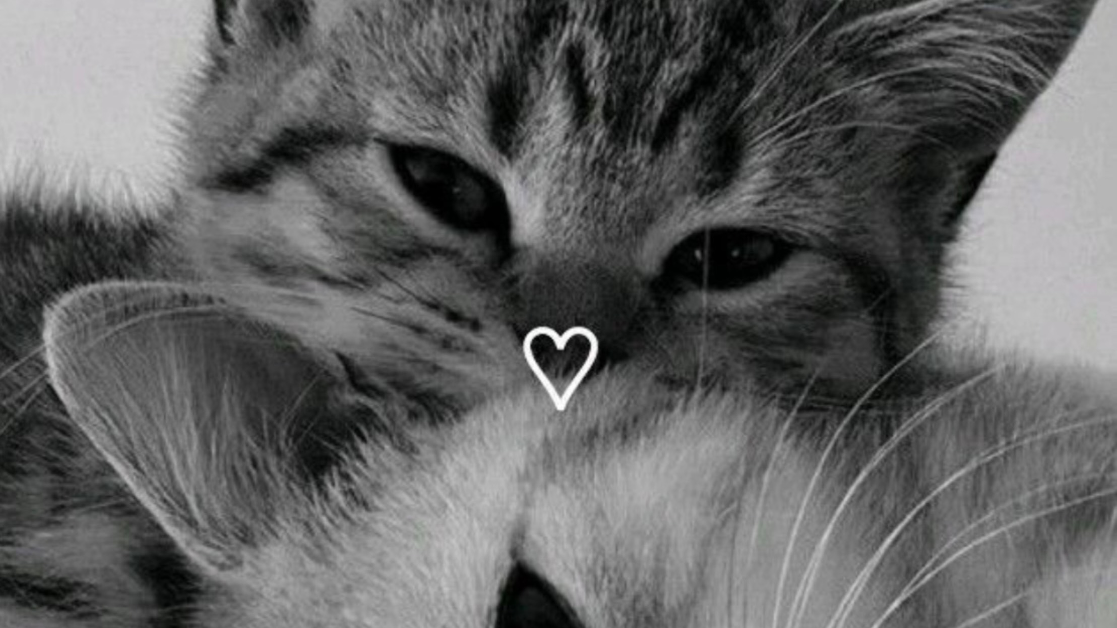 Ева пришла в мир денди на обнову!!!!!!!!!!!!!