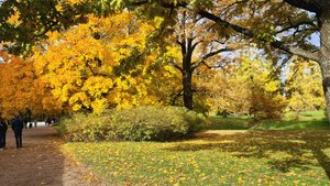 Санкт-Петербург. Пушкин. Просто погуляем по Александровскому парку.