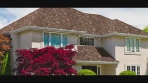 SHINGLAS «Атлантика» — вдохновение океаном в трёхслойной черепице