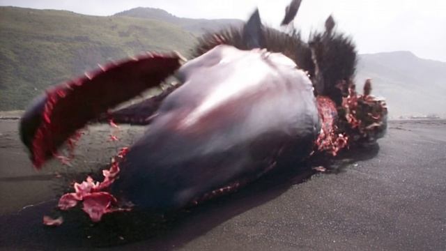 Взрыв кита со звуком смотреть онлайн