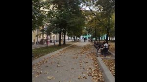 Осень в деталях