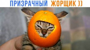 ПРИЗРАЧНЫЙ ЖОРЩИК ))) Приколы | Мемозг 1674