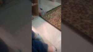 VID_20251016_211652.mp4