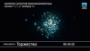 PFR230072 ТОРЖЕСТВО