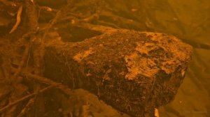 Изучение шлюзов графа Клейнмихеля в Курске река Сейм