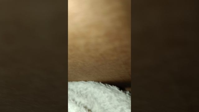 страшные истории вдоме Лютика смотреть онлайн