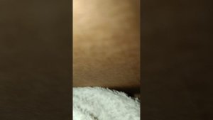 страшные истории вдоме Лютика