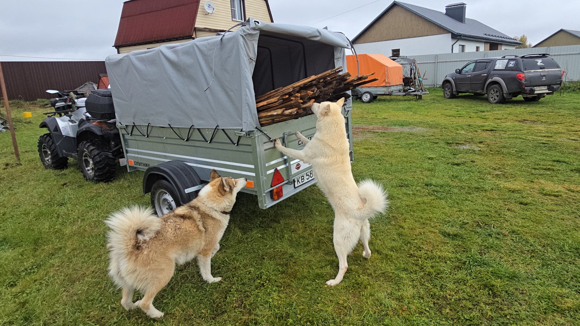 Всё пригодится