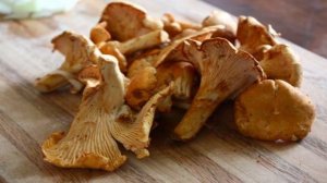 Пирог с лисичками и сыром