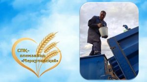 Поздравление труженикам села