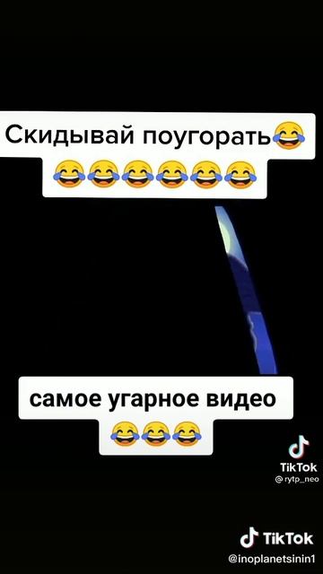 смешное видео