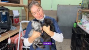 У Гарета и Индии хорошая динамика в лечении!