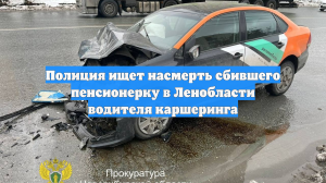 Полиция ищет насмерть сбившего пенсионерку в Ленобласти водителя каршеринга