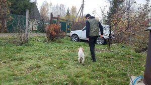 Тренируем быстрый подбор предметов.mp4