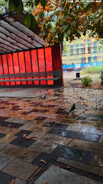 2025 09 27 ФОТО ДНЯ 4К.mp4