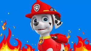 Щенячий Патруль - Отряд щенков к делу готов - Щенячий патруль Мультик для детей 2