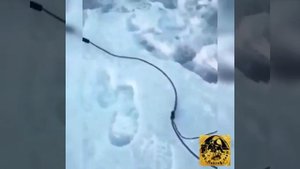 Видео от За Трофеем: Охота и Рыбалка