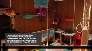 Ограничить число домашних животных в квартирах 15-10-2025