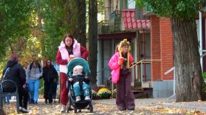 В плену жёлтых листьев