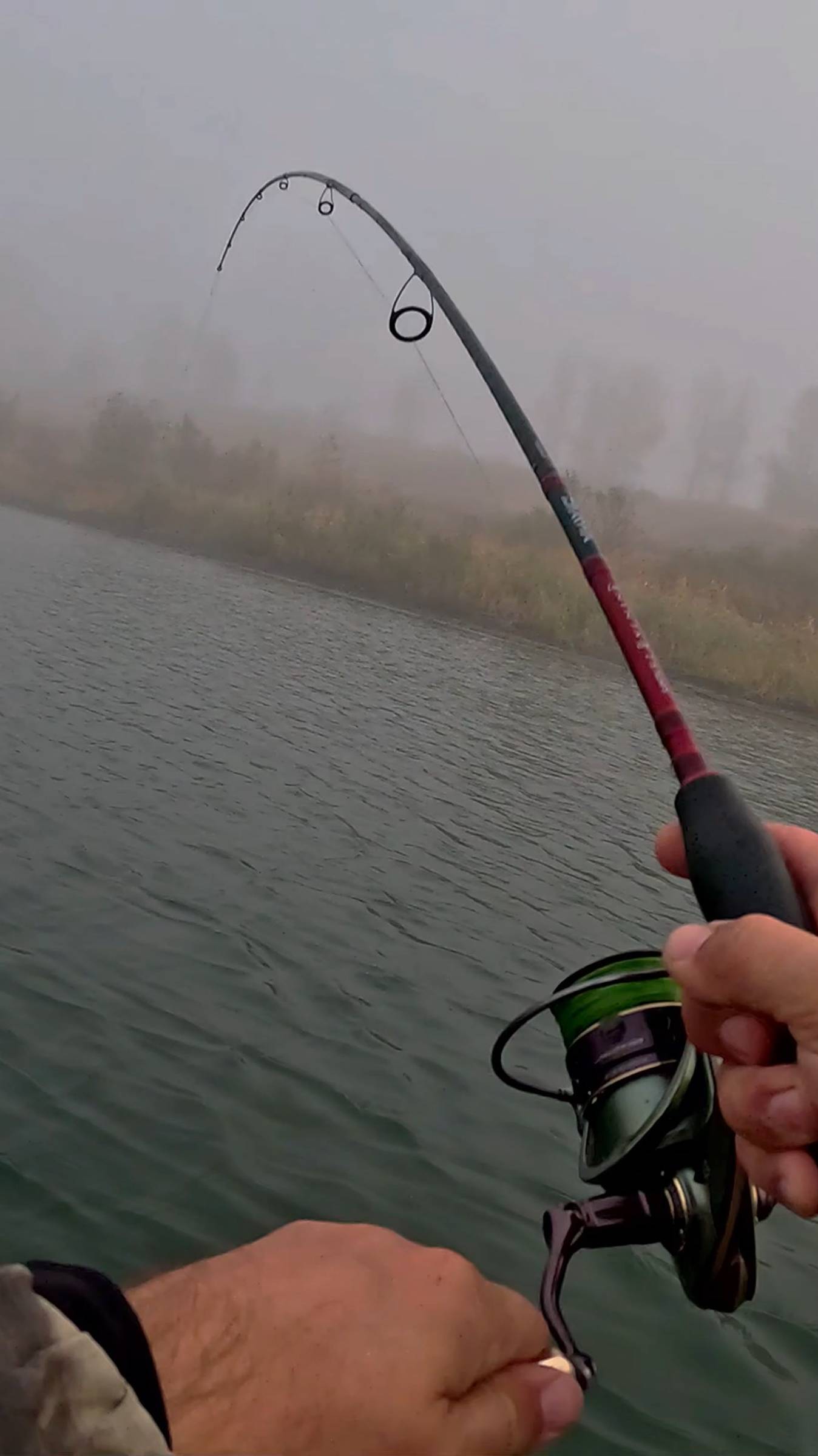 Щука с первого заброса! Dingo 100S!💥😱 #shorts #luremax #щука