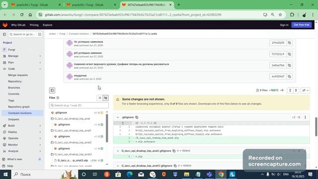 школьный проект по мат моделированию гриба 5