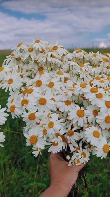 Очень красивая и мило 