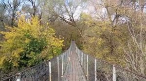 осенняя прогулка в усадьбе Плещеево