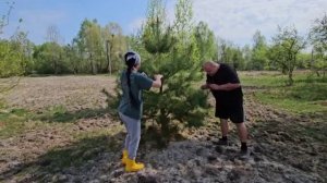 ДОМ ДЛЯ ПТИЦ ГОТОВ! СТРОЙКА ПРОДОЛЖАЕТСЯ!