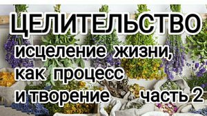 Исцеление жизни, как процесс и творение! часть 2 #сергийрадонежский