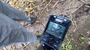 МНОЖЕСТВО ЦЕННЫХ НАХОДОК !!! НА КУКУРУЗОВОМ ПОЛЕ !!! КАК Я РАЗБОГАТЕЛ С ЛОПАТОЙ В РУКАХ !!!