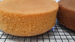Бисквиты день и ночь – для тортов, пирожных, десертов. 🍰🍫
