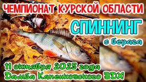 Чемпионат Курской области по ловле спиннингом с берега. 11 октября 2025 год. Курск, Копенки, дамба.