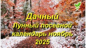 Дачный Лунный посевной календарь на ноябрь 2025 года для садоводов и огородников
