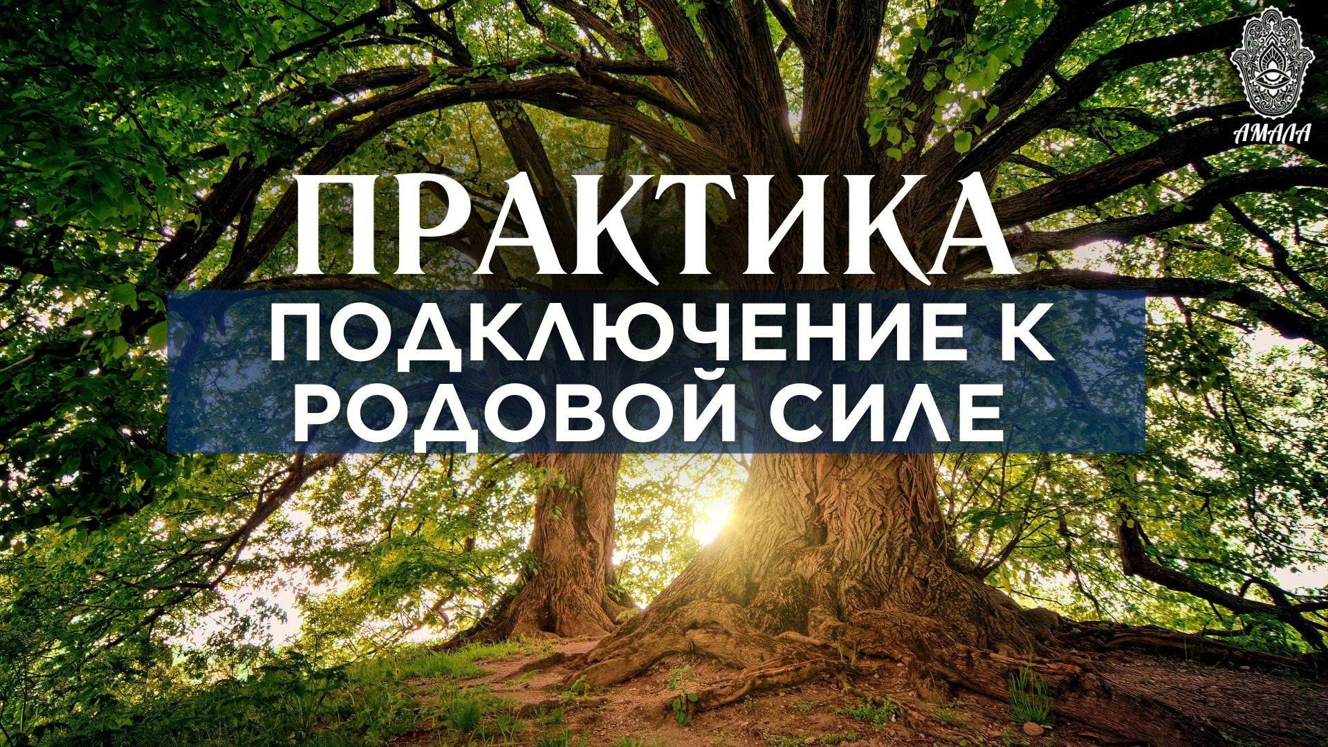 Практика. Подключение к родовой силе. смотреть онлайн