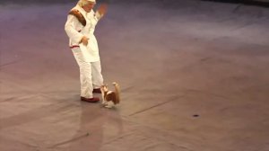 Эстрадно-цирковой бенефис Юрия Куклачёва - Чудеса под куполом цирка