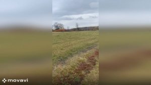 Продается участок в с. Смородино